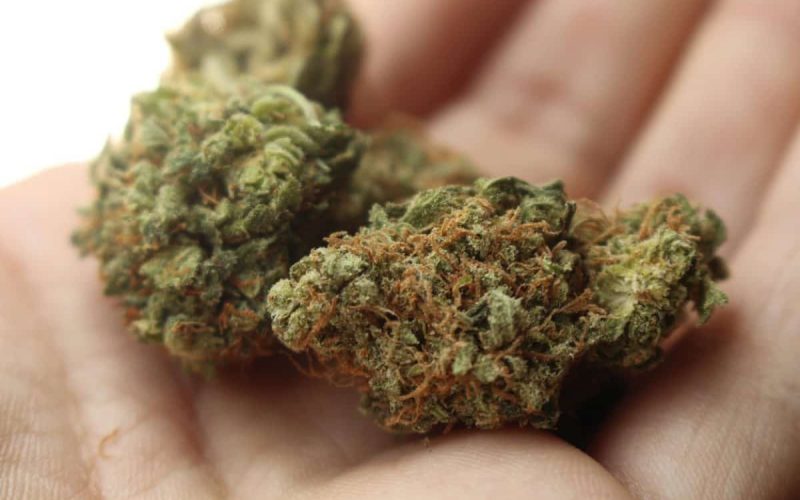 Want to explore a wide range of cannabis products?