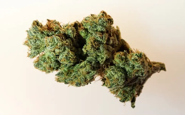 Best Tips To Buy Weed Online Store