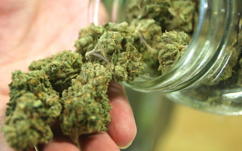 Gasdank provide patients with cannabis that is reasonably priced and of good quality