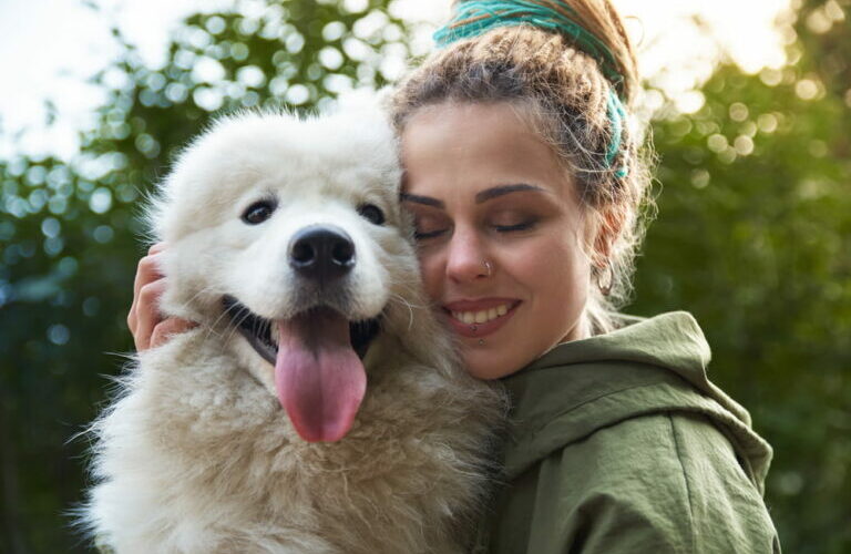From Anxiety to Bliss: The Transformative Power of CBD Dog Treats