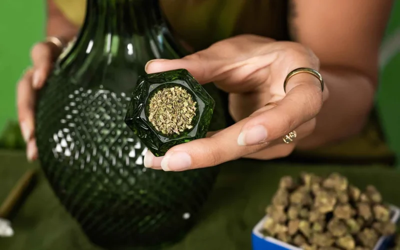 What To Look for When Buying Weed in Bulk?