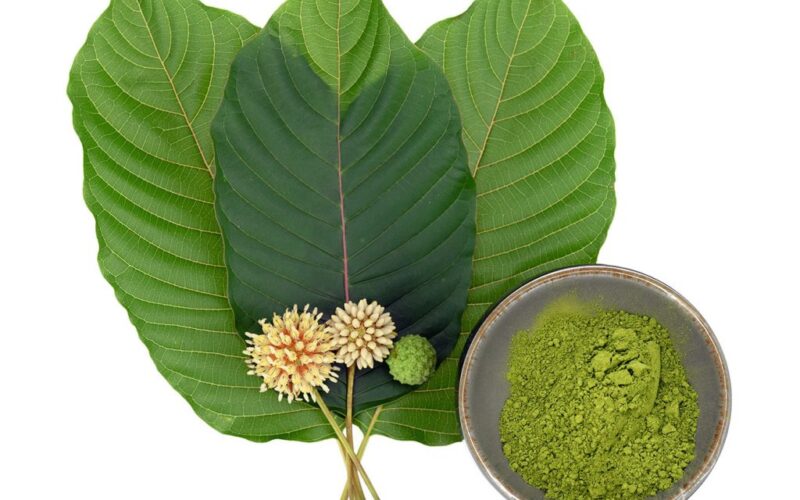 Exploring the Variability of Energy-Enhancing Effects Across Kratom Strains