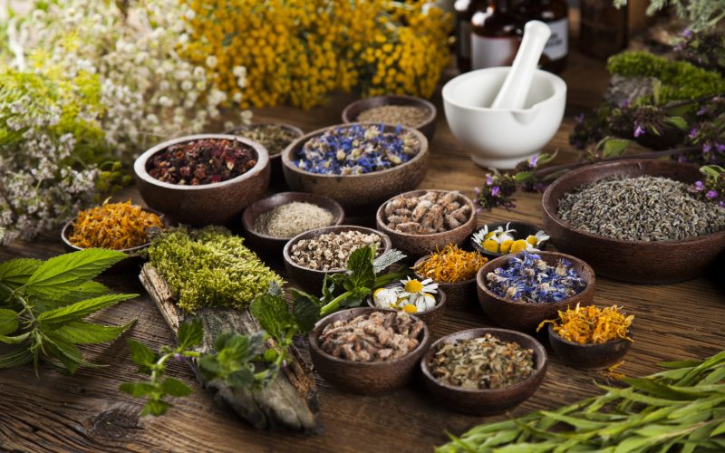 Natural Medicine Advocate Dr. Joseph Mercola Shares His Wellness Principles